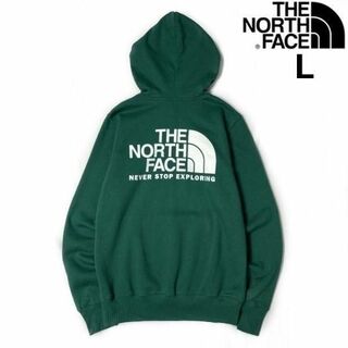 THE NORTH FACE NT61916R パーカー 2020AW L