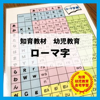 ローマ字　英語　ABC 知育教材　幼児教育(知育玩具)