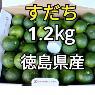 【スダチ1.2kg】徳島県神山町産(フルーツ)