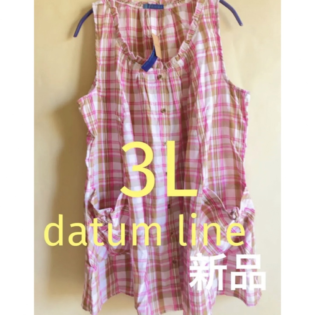 DATUM(デイタム)の新品【datum line】チュニック ピンク 大きいサイズ チェック レディースのトップス(チュニック)の商品写真