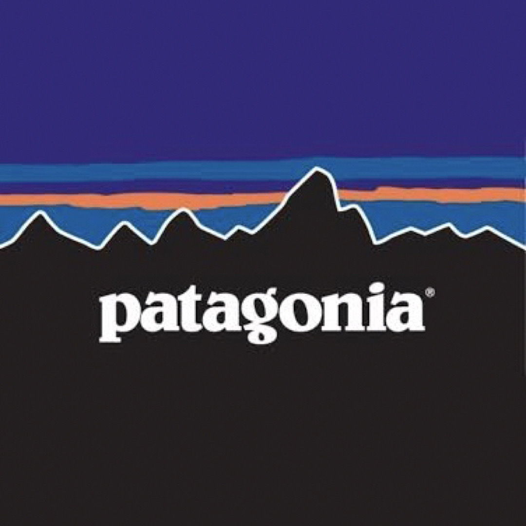 美品 | Patagonia（パタゴニア）ラインドキャンバスフーディ 9