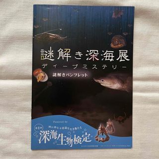 謎解き深海展 ディープミステリー 謎解きパンフレット(その他)