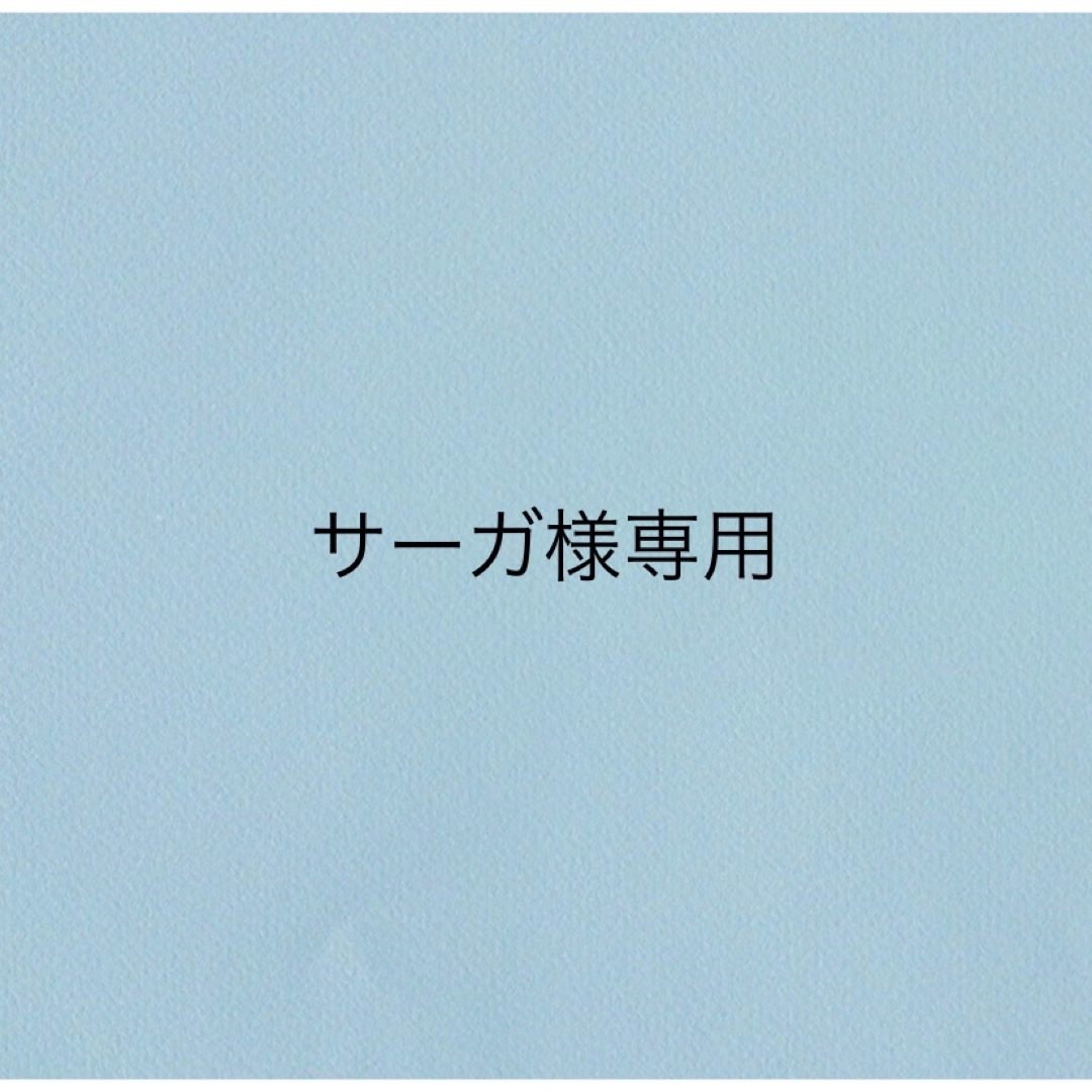 サーガ様専用の通販 by Mik's shop|ラクマ