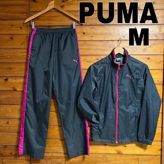 プーマ(PUMA)のPUMA ナイロン　上下　レディース(ナイロンジャケット)