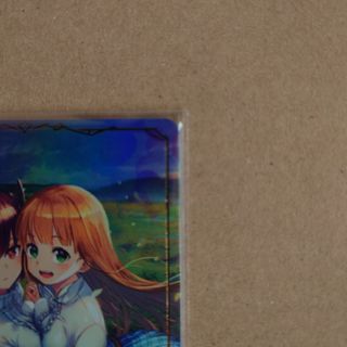 シャドウバースエボルヴ 永劫なる絶傑 リーダー アン&グレア-