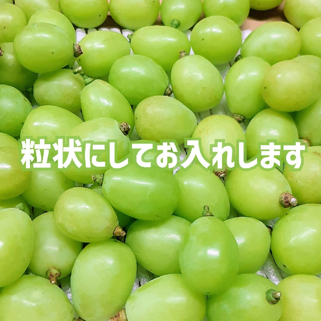 シャインマスカット 箱込み1キロ ご家庭用 ゆうパケットプラス発送 除草剤不使用 食品/飲料/酒の食品(フルーツ)の商品写真