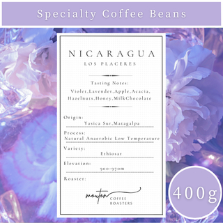 【400g】自家焙煎コーヒー豆　ニカラグア　ロス・プラセラス　低温アナエロビック(コーヒー)