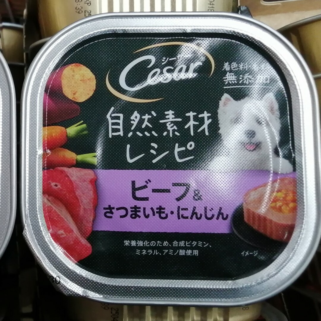 CASAR(シーザー)の【計121個】シーザー 自然素材レシピビーフ&さつまいも・にんじん/平飼いチキン その他のペット用品(ペットフード)の商品写真