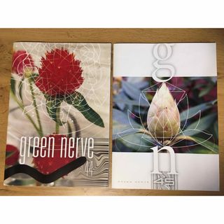 green nerve 44 45 平沢進ファンクラブ会報誌(ミュージシャン)