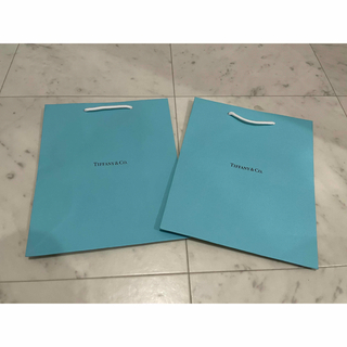 ティファニー(Tiffany & Co.)のTiffany & Co.紙袋(ショップ袋)