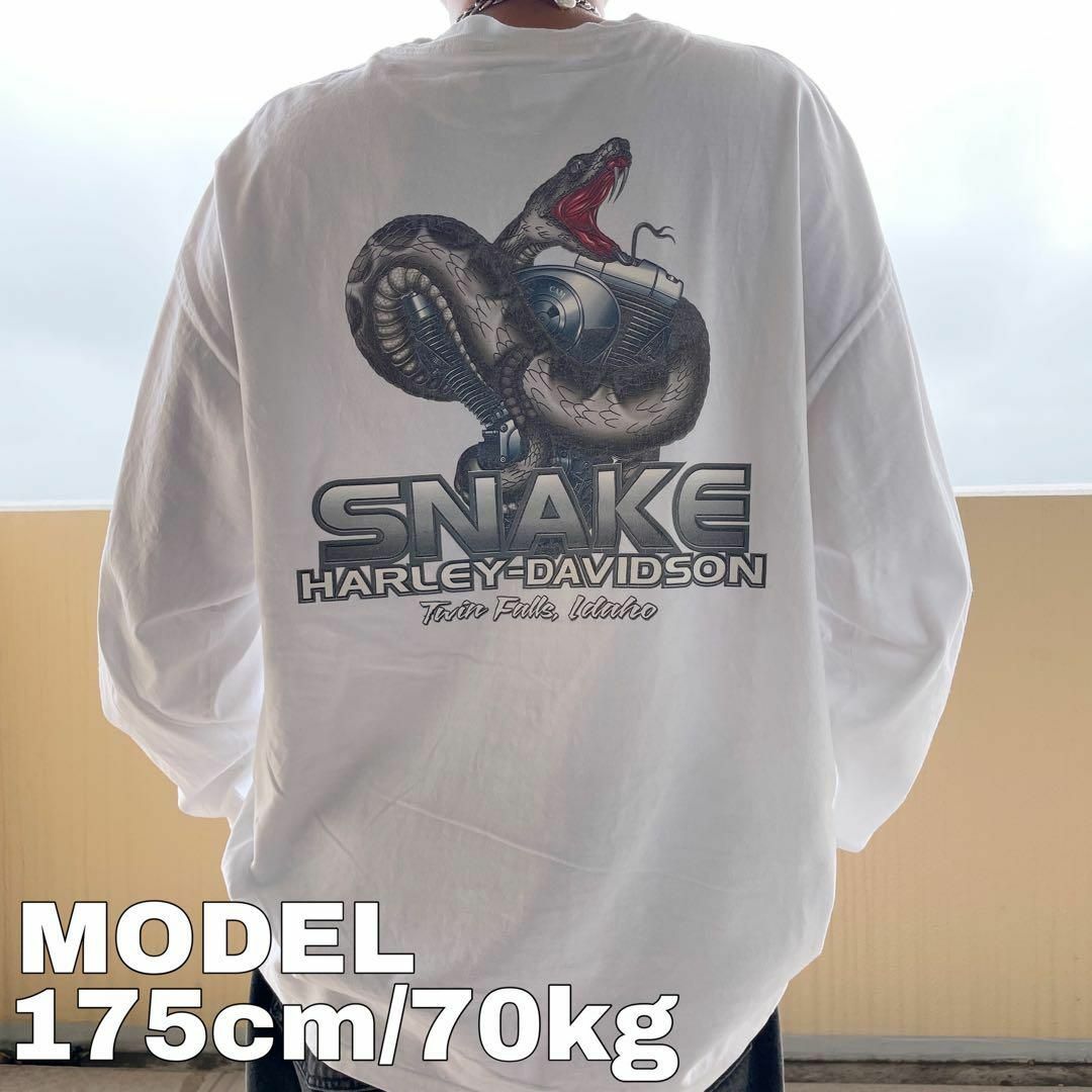Harley Davidson - 00s ハーレーダビッドソン ロンT長袖Tシャツ 2XL 白