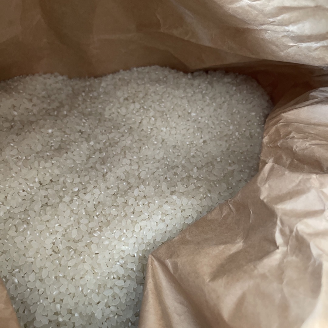 ひとめぼれ ご飯 米 白米 精米済み 古米 令和4年度産 会津米 美味しい 美味