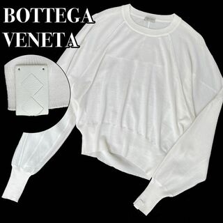 極美品 ボッテガヴェネタ BOTTEGA VENETA ニット 2021年 セーター プルオーバー カシミヤ 無地 トップス メンズ イタリア製 L グレー