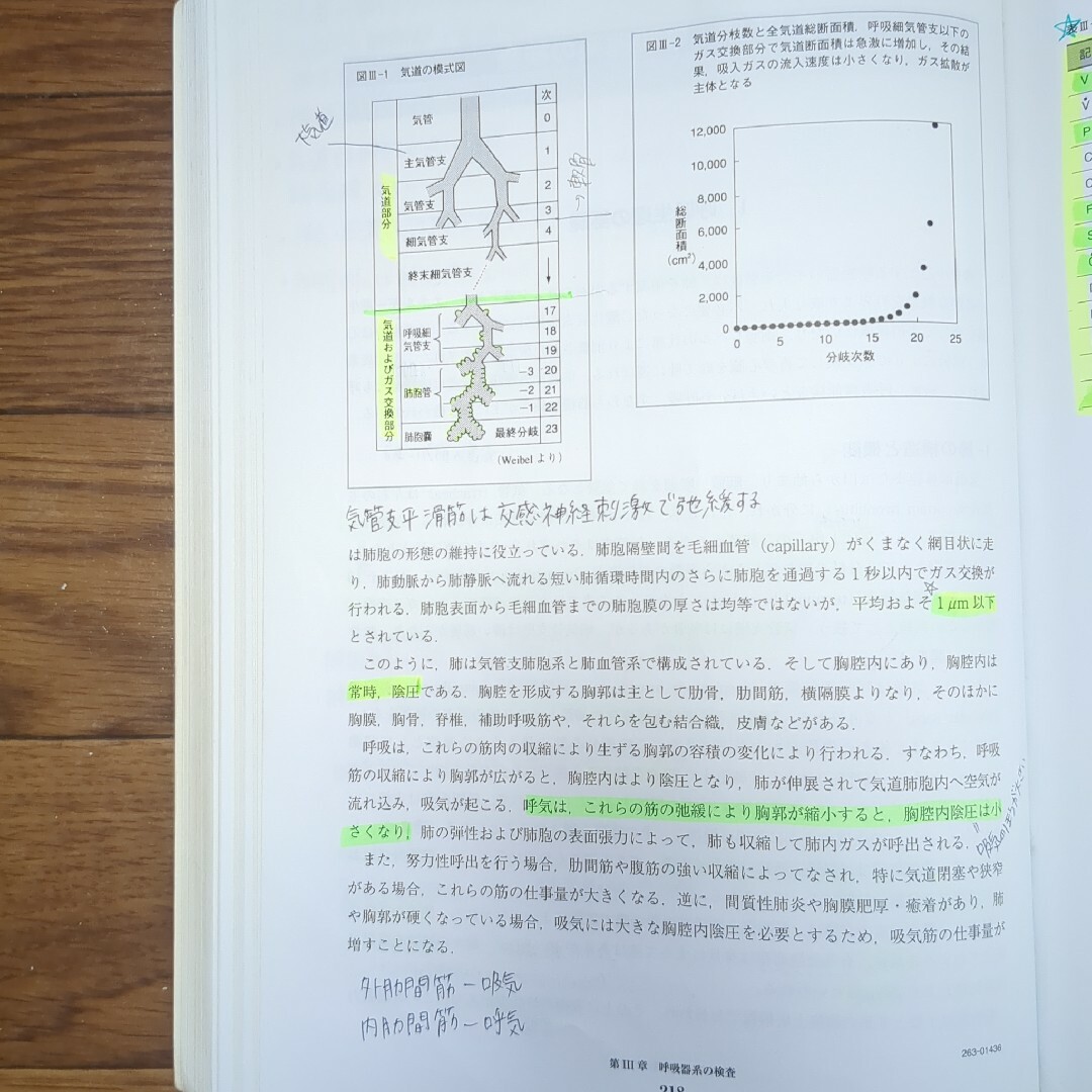 生理機能検査学 エンタメ/ホビーの本(健康/医学)の商品写真