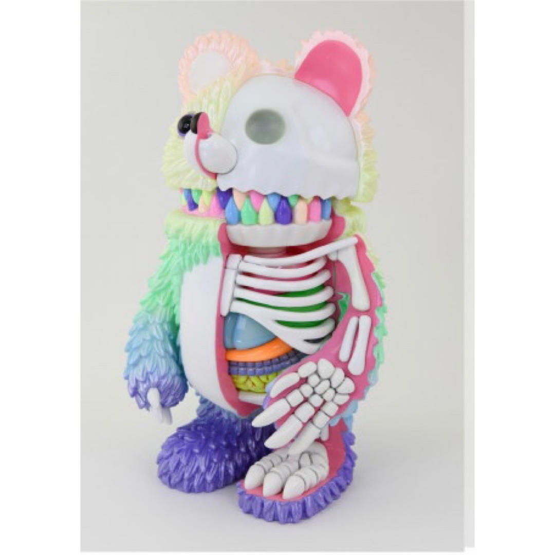 Anatomical Muckey "Rainbow"