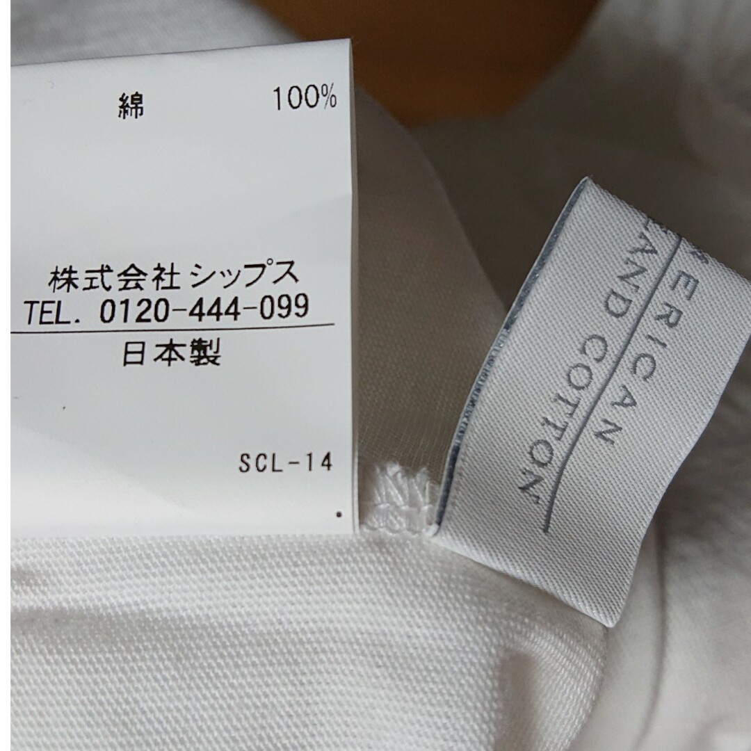 SHIPS(シップス)のSHIPS シップス AMERICAN SEA ISLAND Tシャツ メンズのトップス(Tシャツ/カットソー(半袖/袖なし))の商品写真