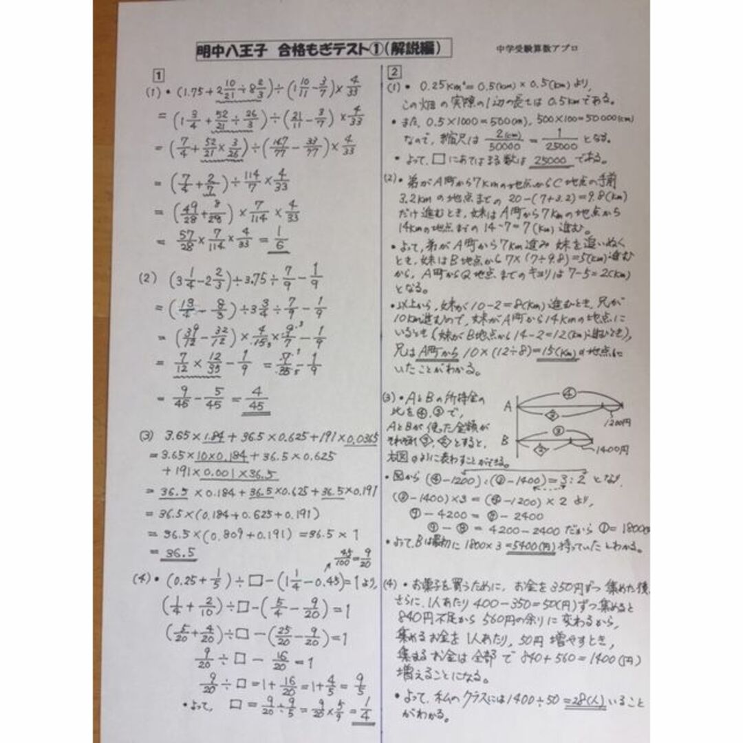 学校別対策プリントその他　by　明治大学付属中野八王子中学校　中学受験　2024年合格への算数と理科プリント○予想問題付きの通販　｜ラクマ