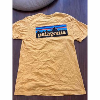 パタゴニア(patagonia)のパタゴニア organiccotton Tシャツ(Tシャツ/カットソー(半袖/袖なし))