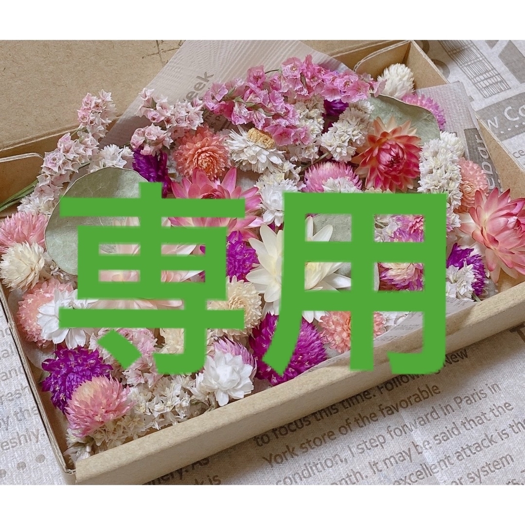 ドライフラワー 花材 たっぷりピンク系詰め合わせ ハンドメイドのフラワー/ガーデン(ドライフラワー)の商品写真