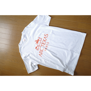 アークテリクス(ARC'TERYX)のARC'TEXAS カットソー(Tシャツ/カットソー(半袖/袖なし))