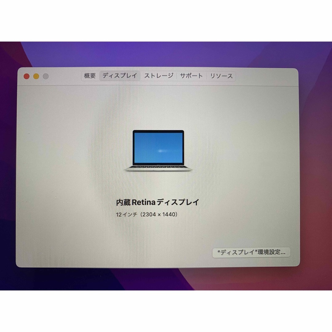 Mac (Apple)(マック)のMacBook Early2016 メモリ8GB 256GB Intel スマホ/家電/カメラのPC/タブレット(ノートPC)の商品写真