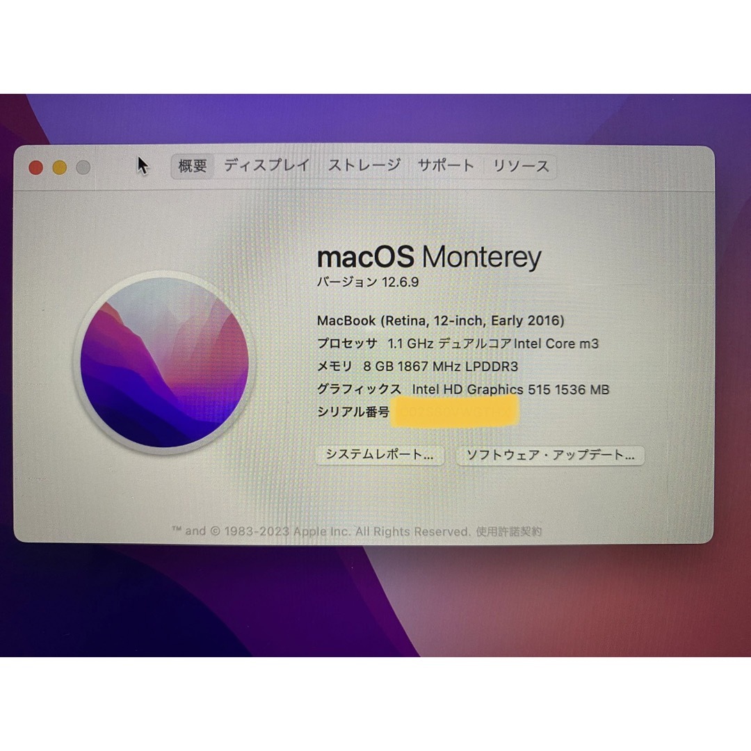 Mac (Apple)(マック)のMacBook Early2016 メモリ8GB 256GB Intel スマホ/家電/カメラのPC/タブレット(ノートPC)の商品写真