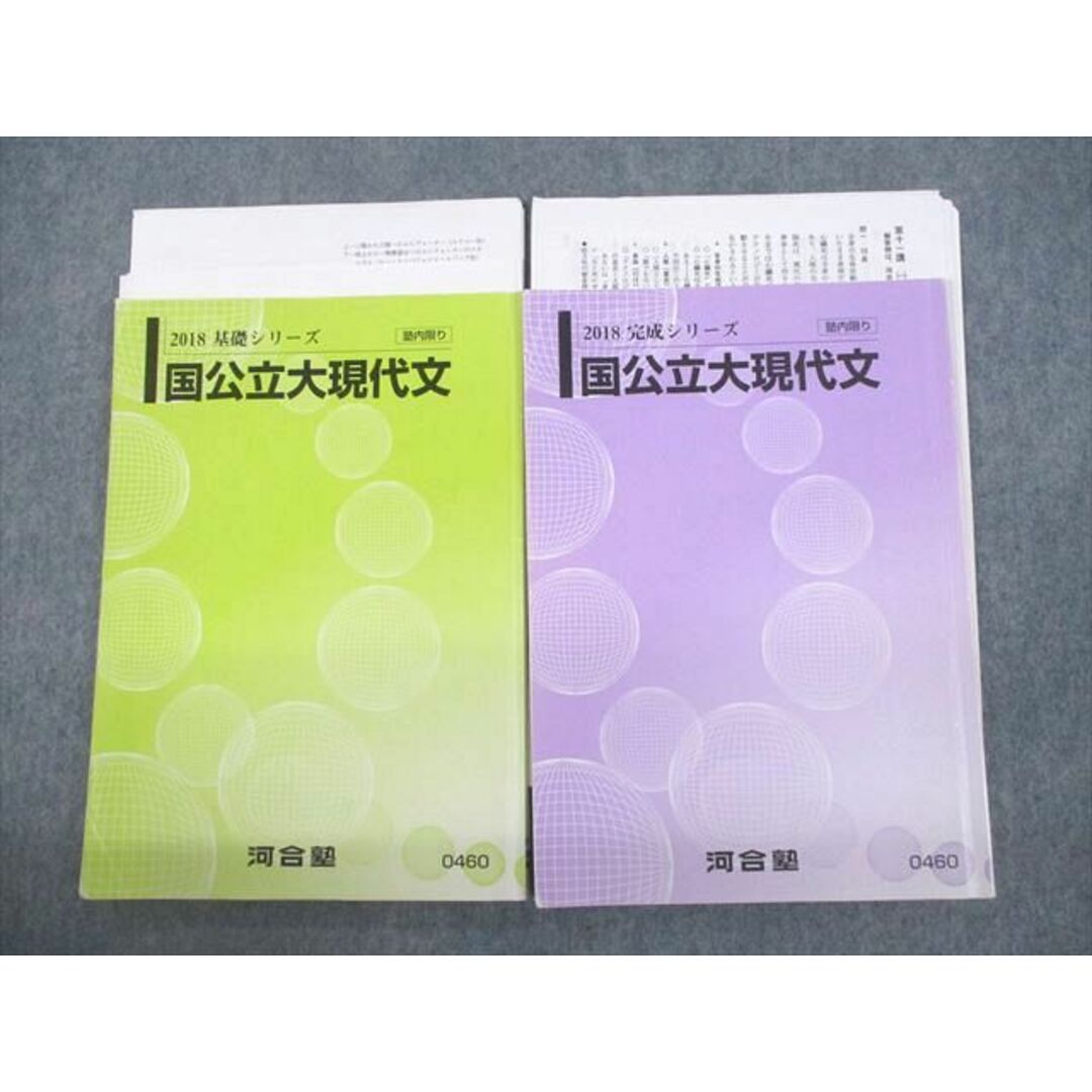 VC12-074 河合塾 国公立大現代文 テキスト通年セット 2018 計2冊 20S0D