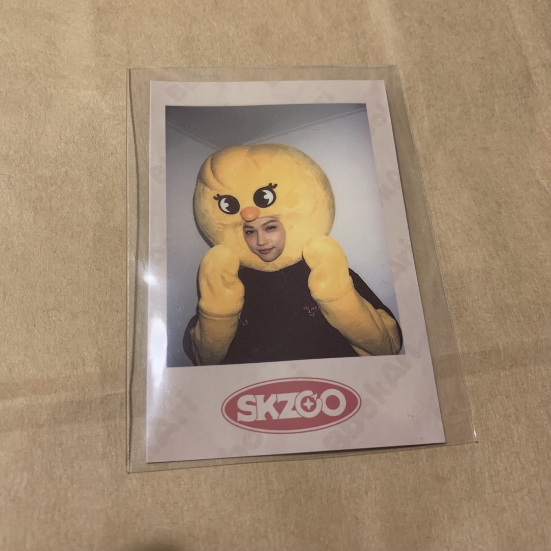 straykids skzoo フィリックス ポラロイド  コンプ