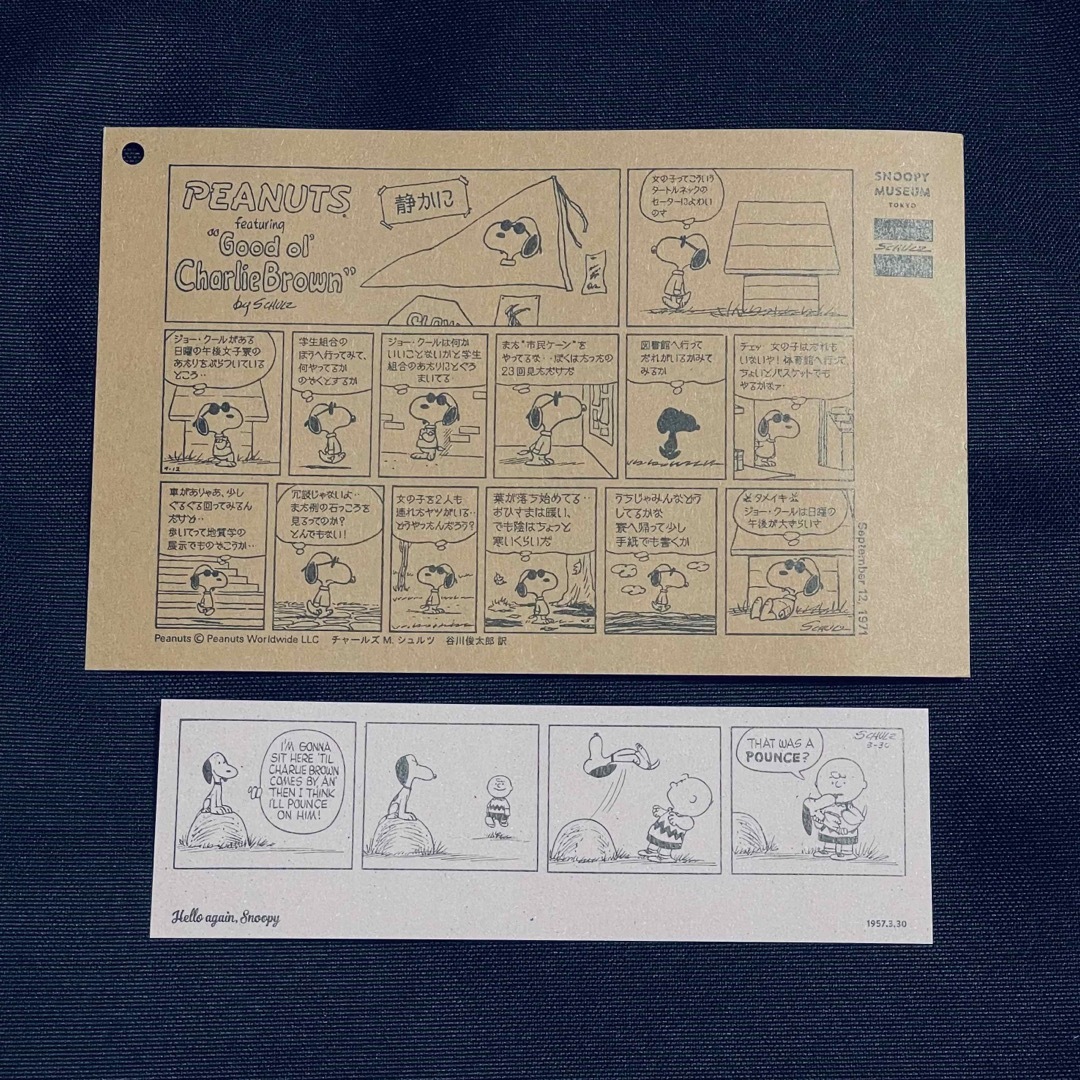 PEANUTS(ピーナッツ)のスヌーピー　図録　No.2 エンタメ/ホビーの漫画(イラスト集/原画集)の商品写真