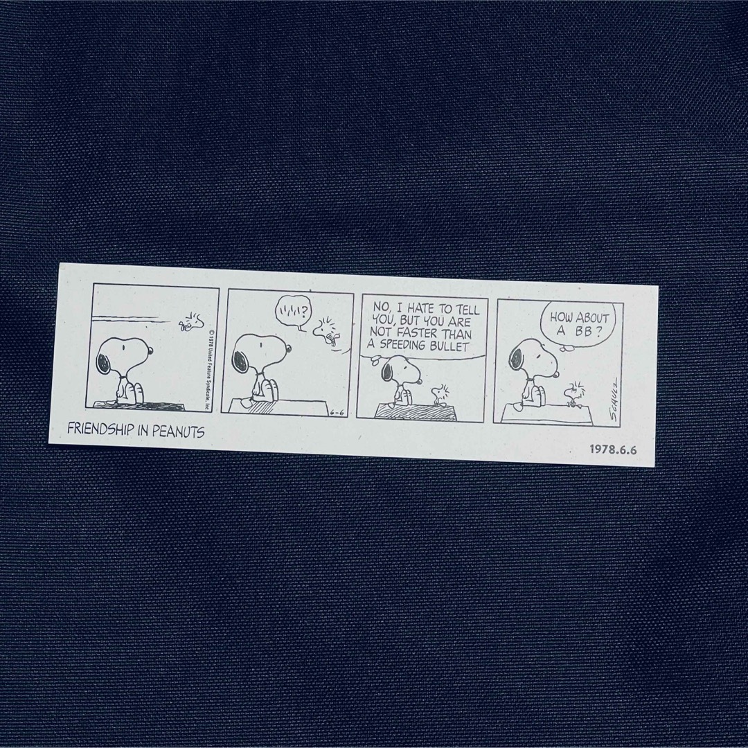 PEANUTS(ピーナッツ)のスヌーピー　図録　No.5 エンタメ/ホビーの漫画(イラスト集/原画集)の商品写真