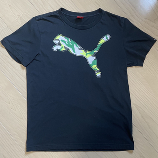 プーマ(PUMA)のPUMA Tシャツ　プーマ　Mサイズ(Tシャツ/カットソー(半袖/袖なし))
