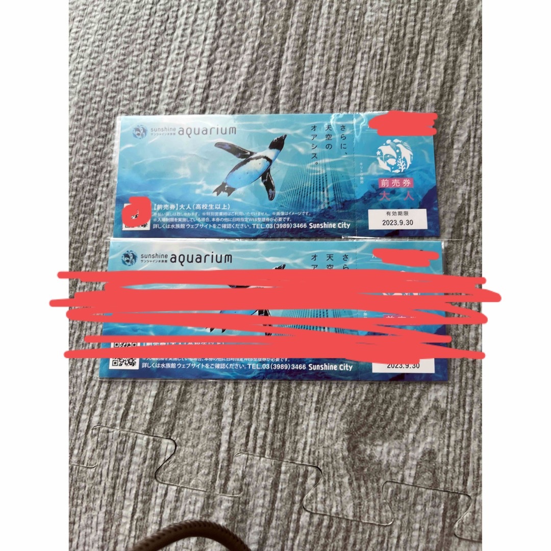 サンシャイン水族館　チケット　大人1枚　e様専用 チケットの施設利用券(水族館)の商品写真