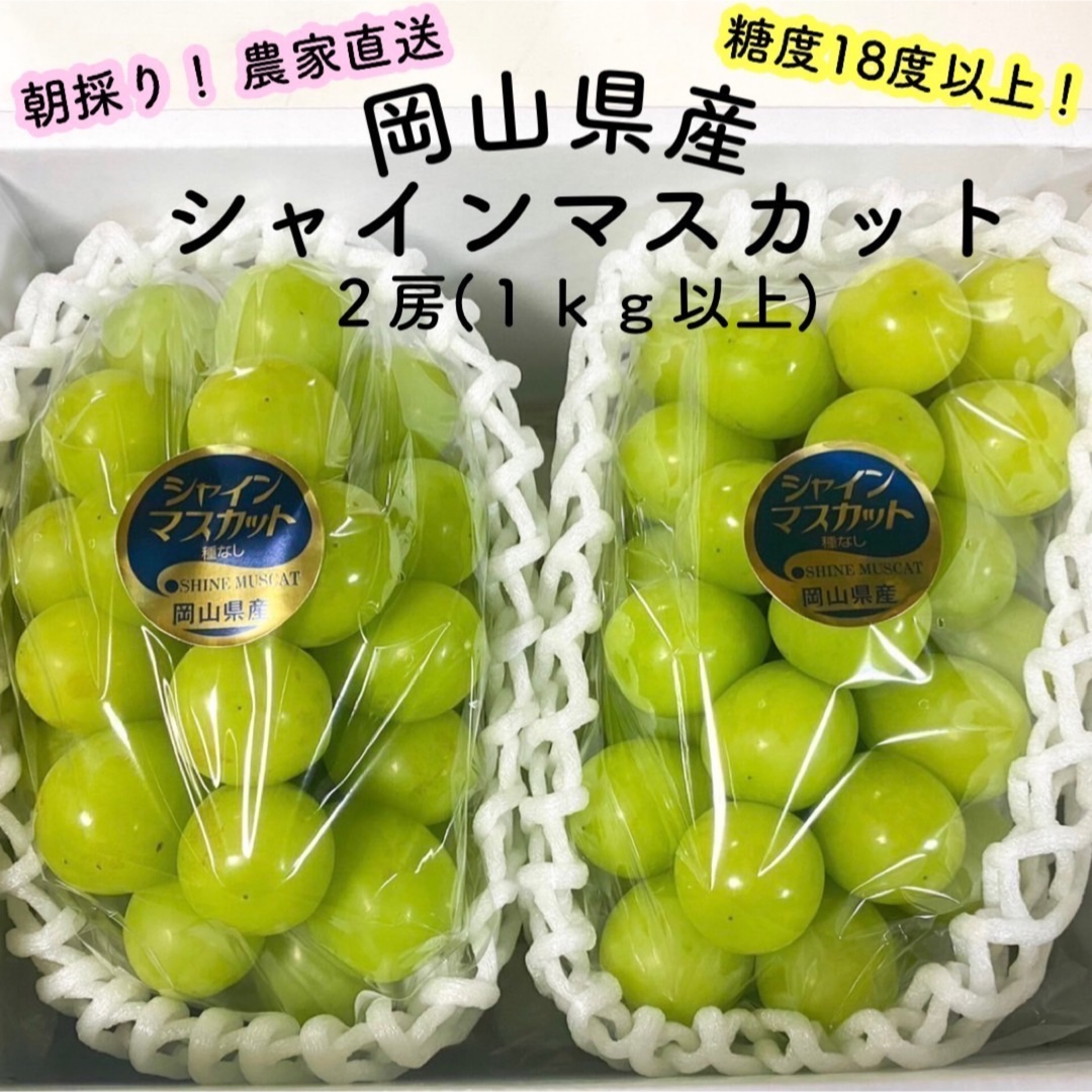 ☆感謝祭セール☆朝採り!岡山県産シャインマスカット2房(1kg以上)の