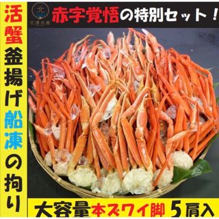 ズワイガニ　訳あり商品　ボイル冷凍　500g(魚介)