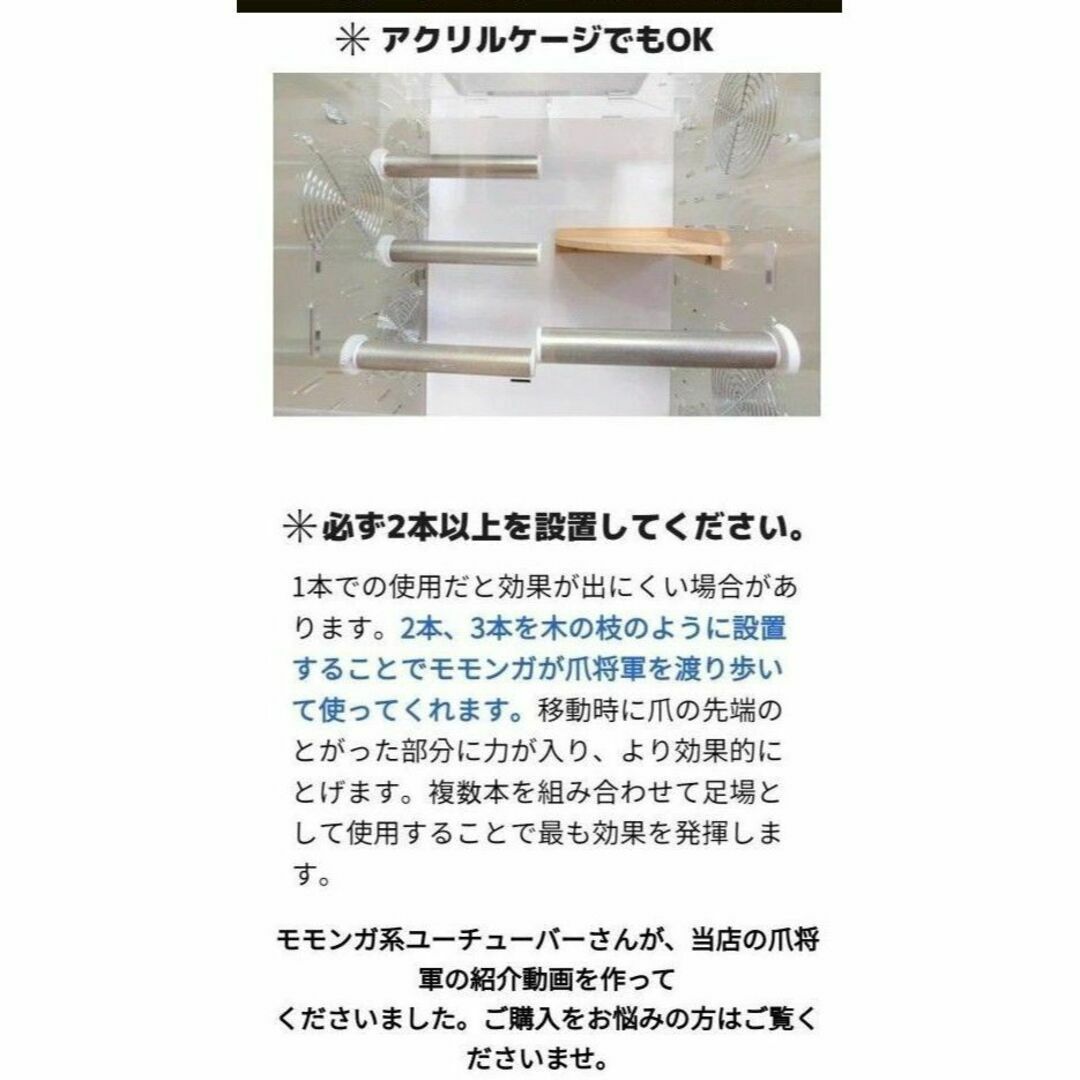 新品 のびも15 爪将軍 2本セット モモンガ 小鳥 オウム 小動物 爪とぎ