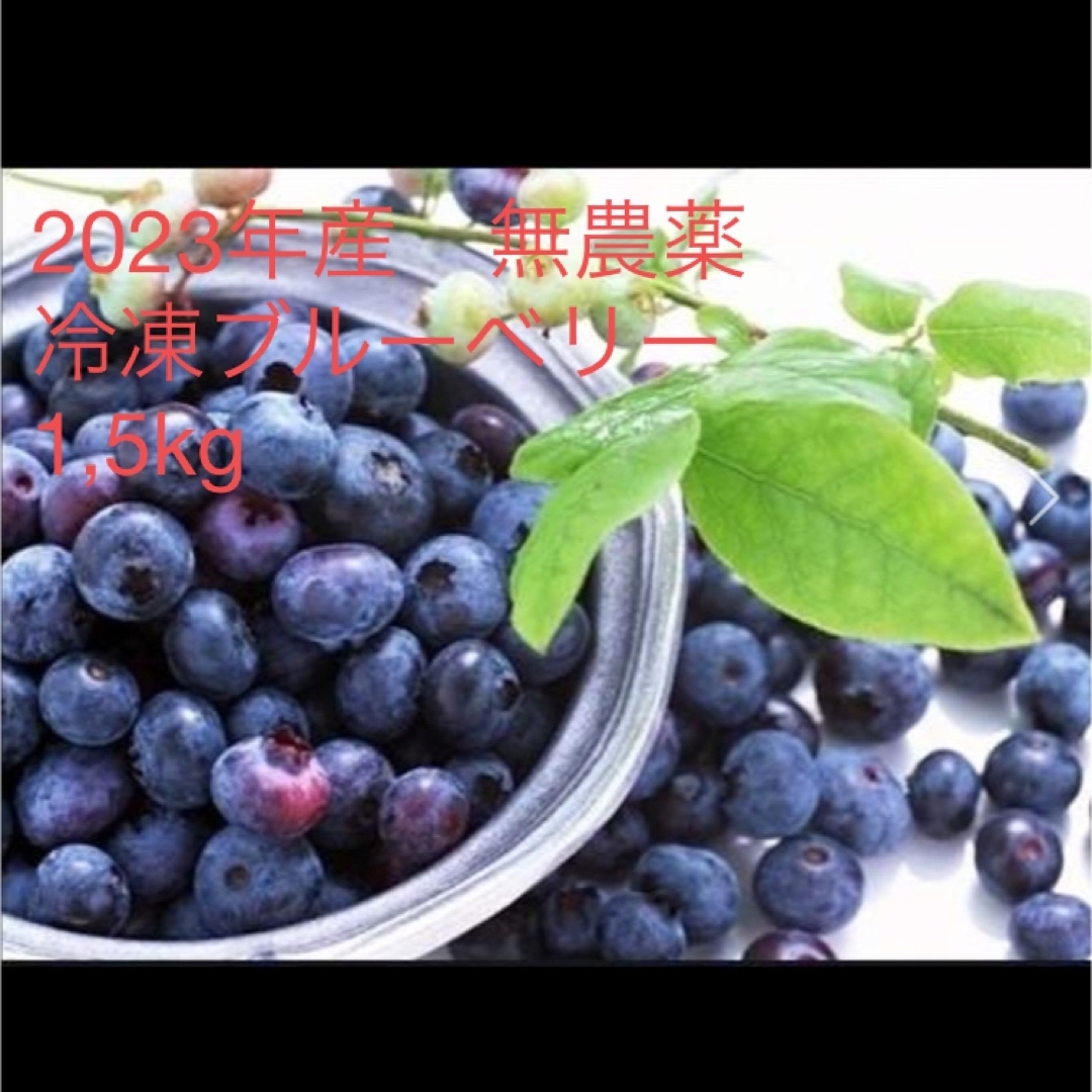 冷凍ブルーベリー 無農薬 1,5kgの通販 by jinymom's shop｜ラクマ