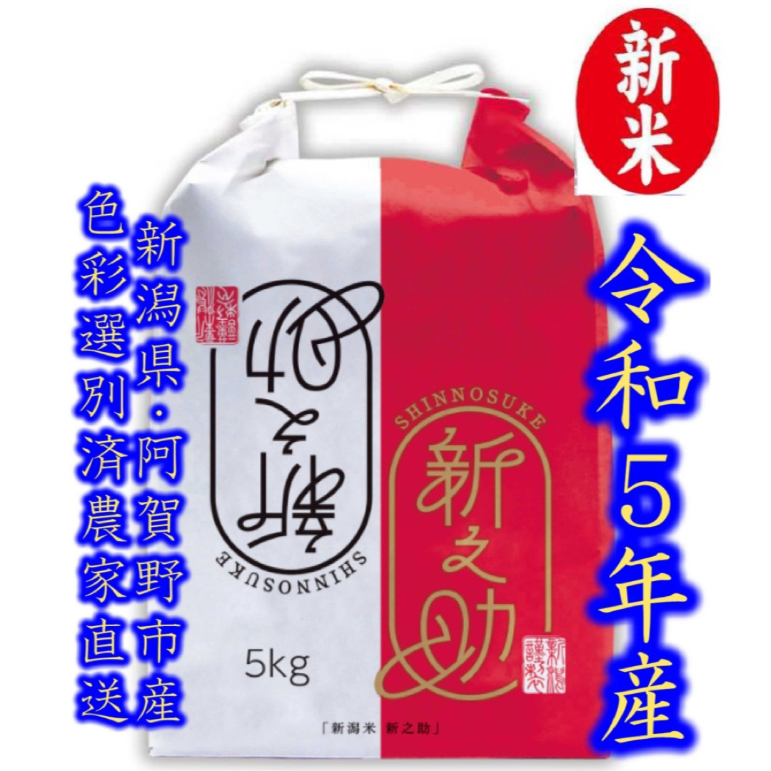 令和5年産　新潟　×　新之助　1個☆農家直送☆色彩選別済08の通販　白米5kg　by　新潟こしひかり's　shop｜ラクマ