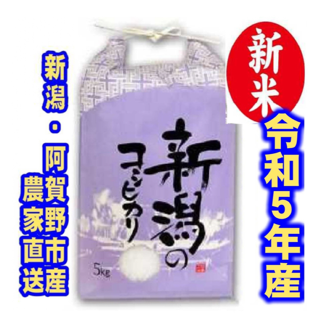 新米・令和2年産新潟コシヒカリ　白米5kg×2個★農家直送★色彩選別済21