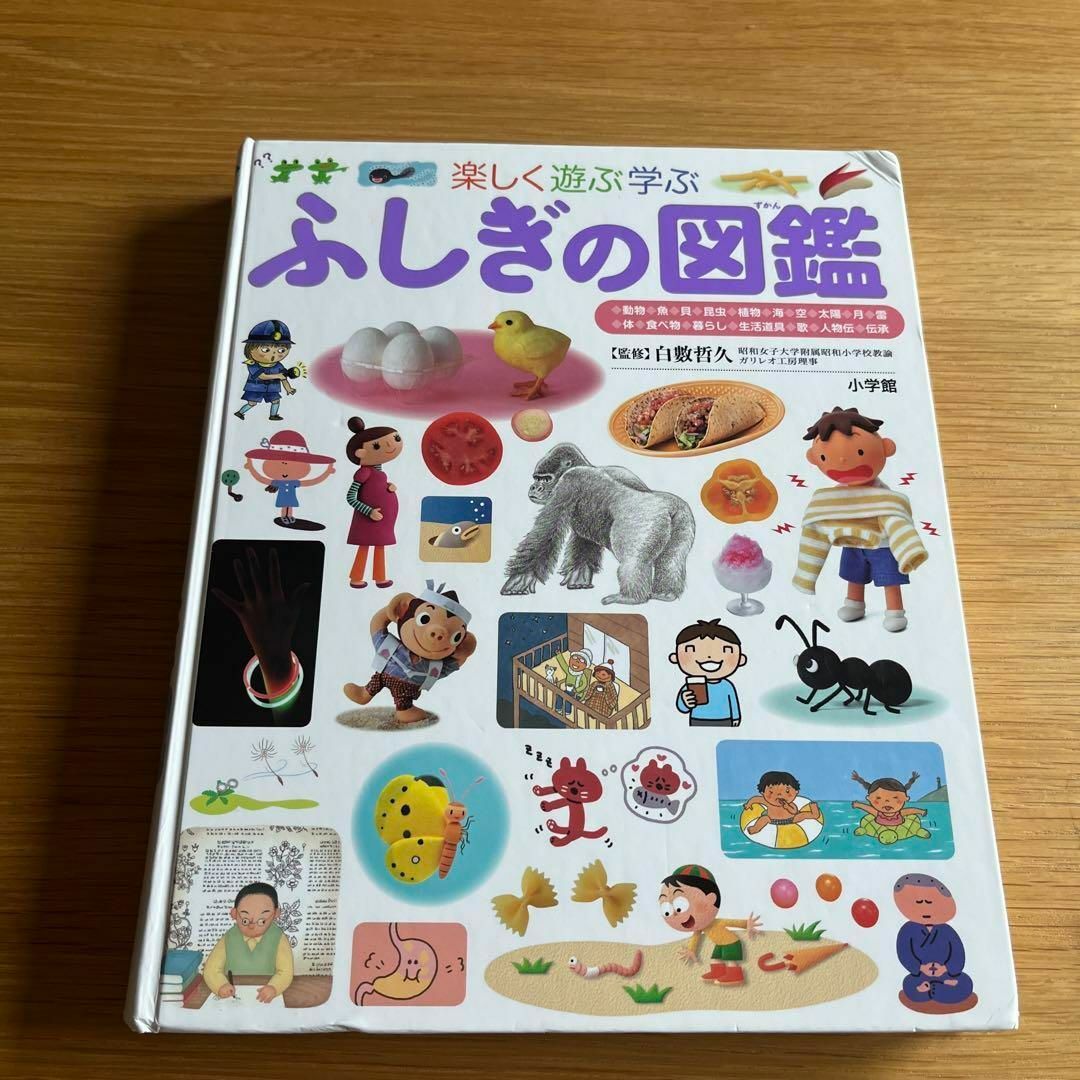 ふしぎの図鑑 : 楽しく遊ぶ学ぶ エンタメ/ホビーの本(住まい/暮らし/子育て)の商品写真