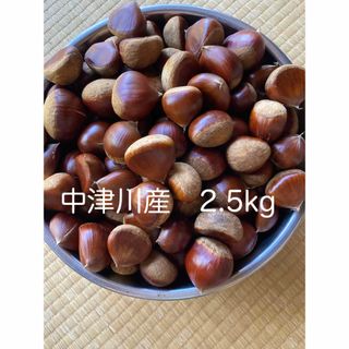 9/19 朝収穫　栗　2.5kg (フルーツ)