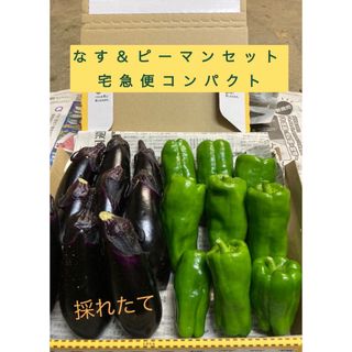 野菜詰め合わせ　なす　ピーマン　宅急便コンパクト(野菜)