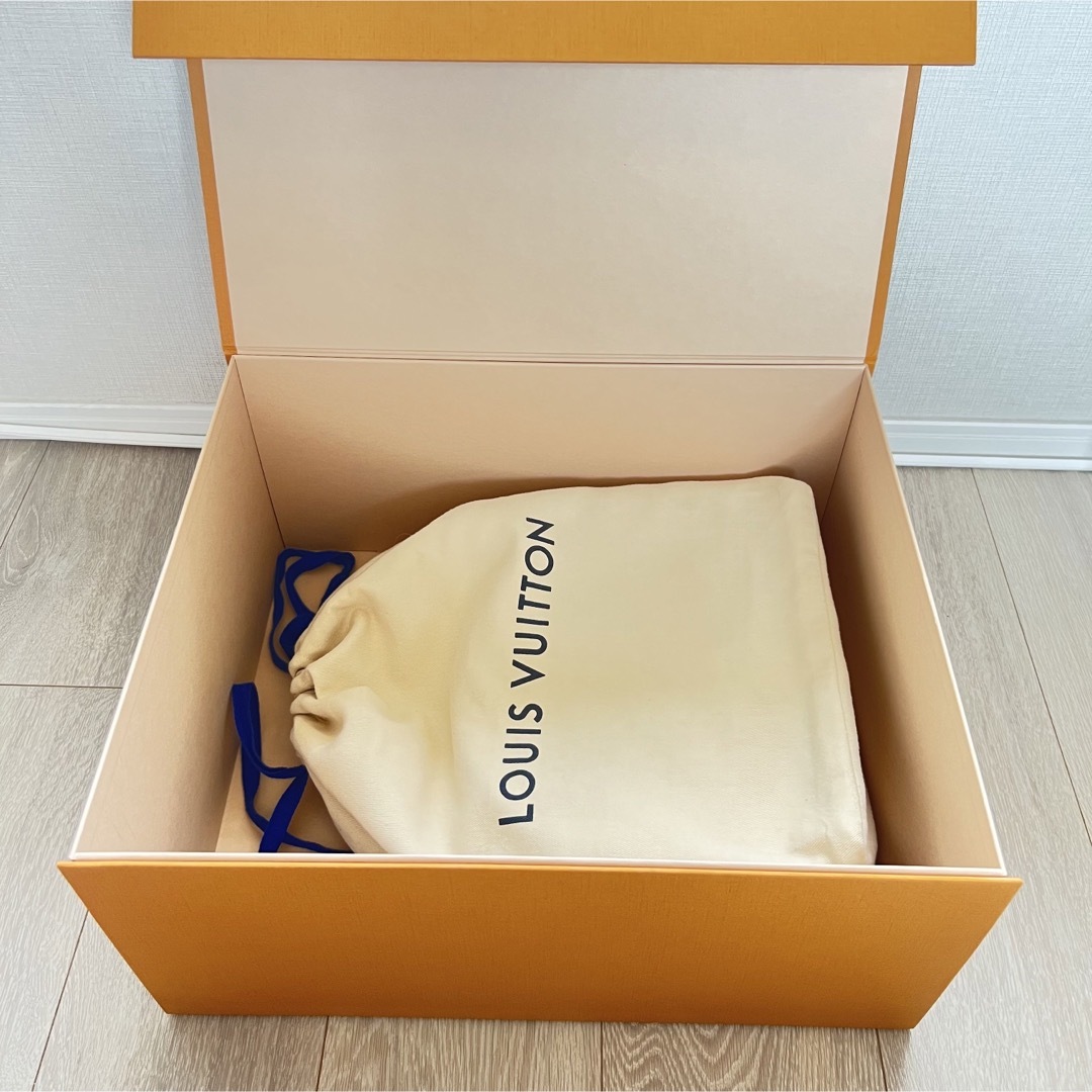 LOUIS VUITTON - ⭐️新品未使用⭐️ カプシーヌ BB マグノリア