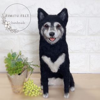 羊毛フェルト うちの子マスコット ぬいぐるみ 柴犬 黒柴(その他)