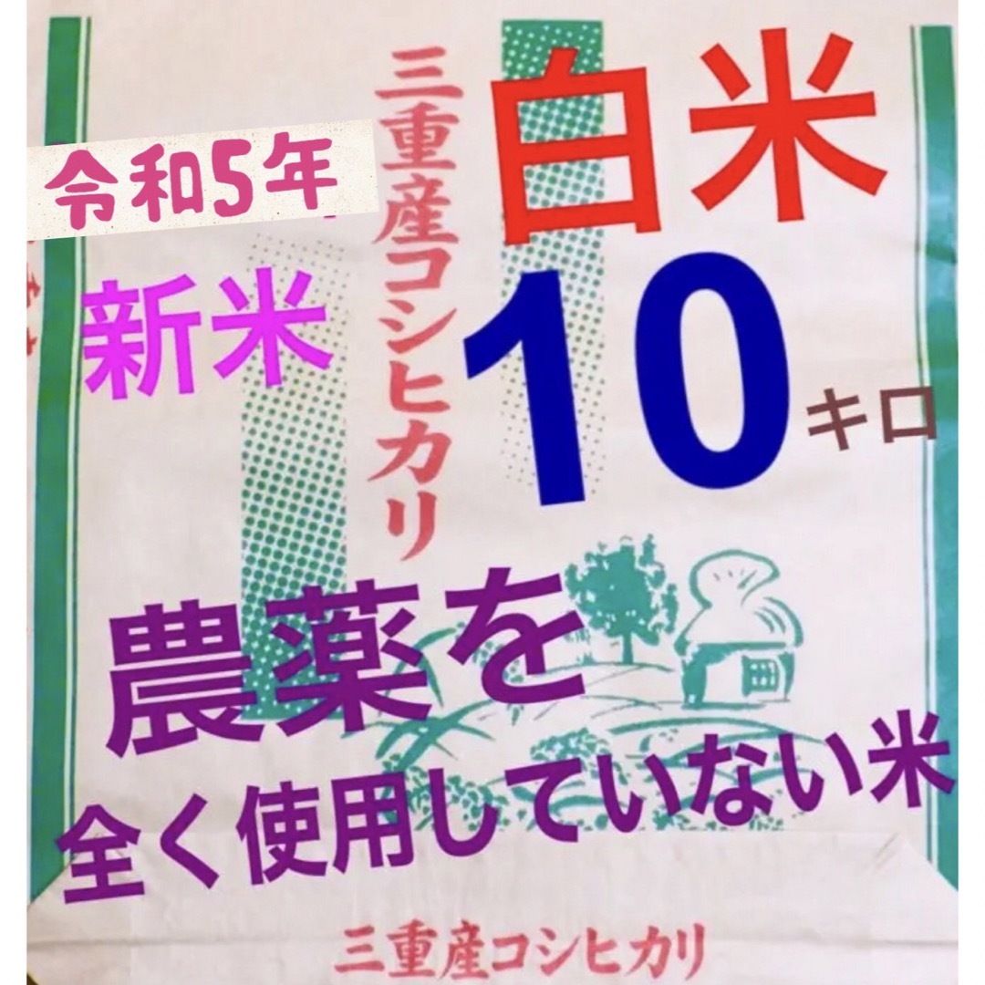 無農薬　有機肥料米　令和5年新米　三重県産コシヒカリ　白米１０キロ　送料込③食品