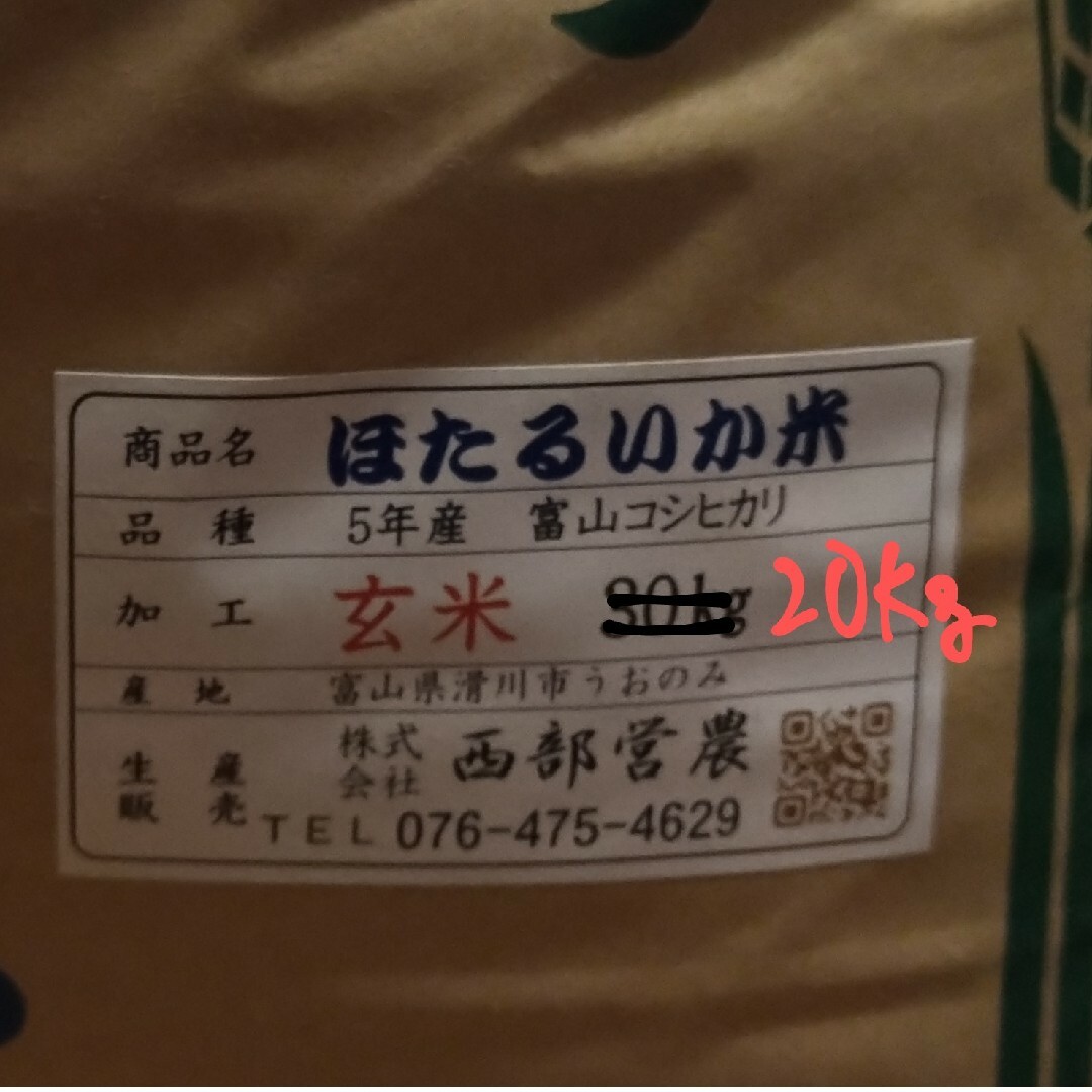 令和5年度収穫新米!!富山県産コシヒカリほたるいか米。送料込み！-