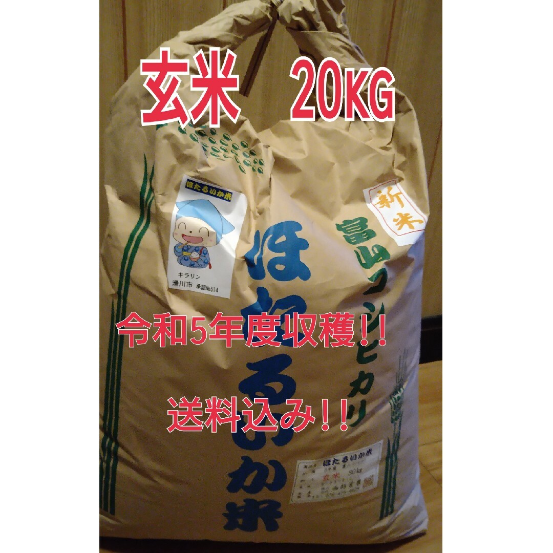 令和5年度収穫の新米！富山県産コシヒカリほたるいか米。玄米20kg！送料無料!!　米