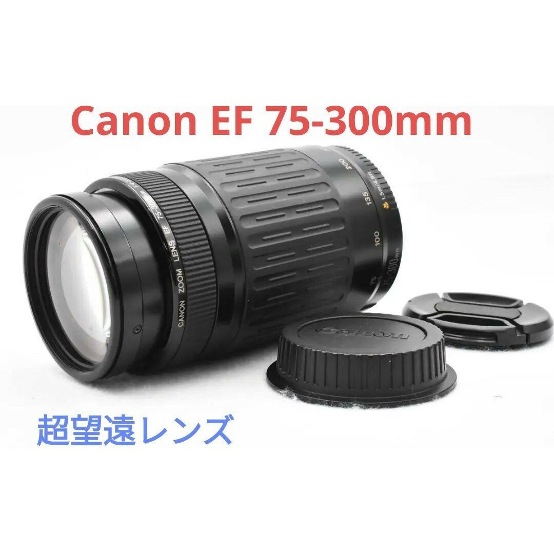 限定商品発売中 3月12日限定販売✨【超望遠レンズ】Canon EF 75-300mm 限定商品発売中 3月12日限定販売✨【超望遠レンズ】Canon EF 75-300mm