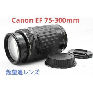10月6日限定特価♪【超望遠レンズ】Canon EF 75-300mm - レンズ(ズーム)