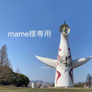 【mame様専用】(その他)