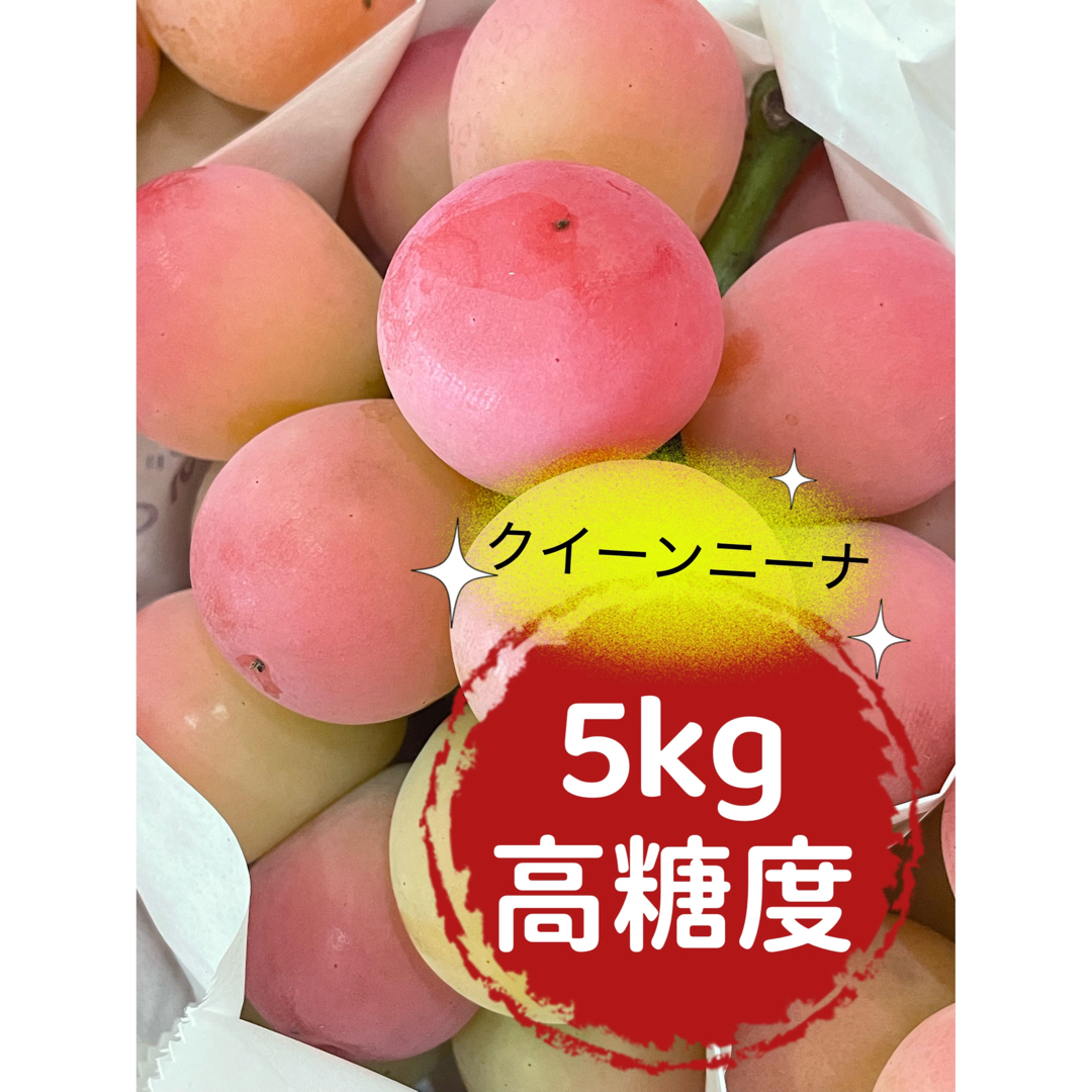 果物　葡萄　ぶどう　ブドウ　クイーンニーナ　秀　高糖度　大容量　SALE 希少 食品/飲料/酒の食品(フルーツ)の商品写真